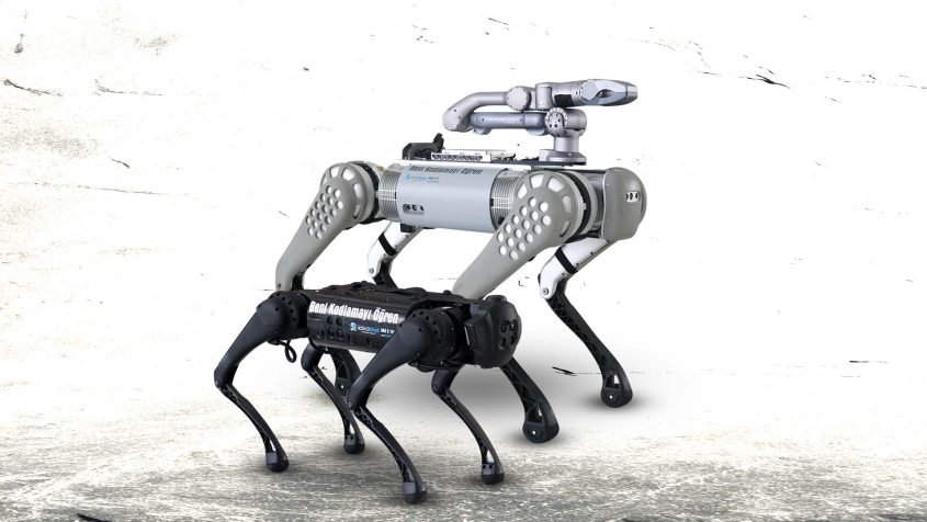 unitree Yapay zeka robot köpek kursu
